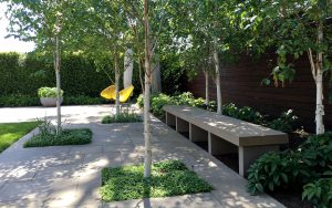 Gardens with Concrete