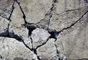 Step-by-Step Guide for Cracked Walkways