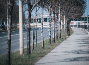 Safe and Reliable Concrete Sidewalk Solutions