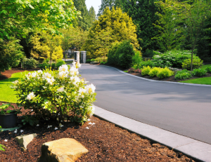 Drive in Style Concrete Driveway Services