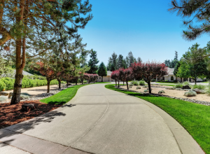 Concrete Driveway Solutions for Your Home